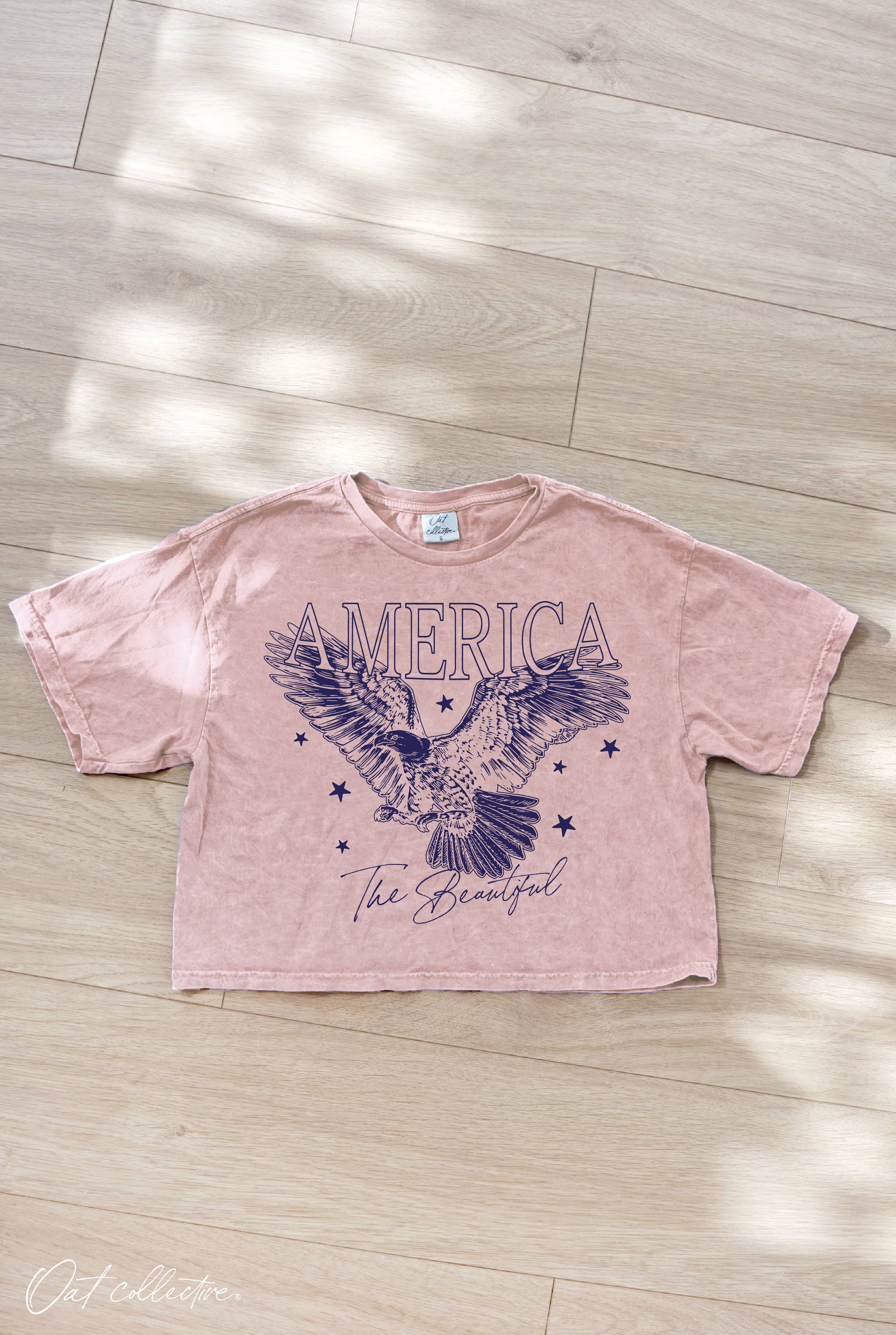 America the Beautiful Cropped Mineral Washed Graphic Top