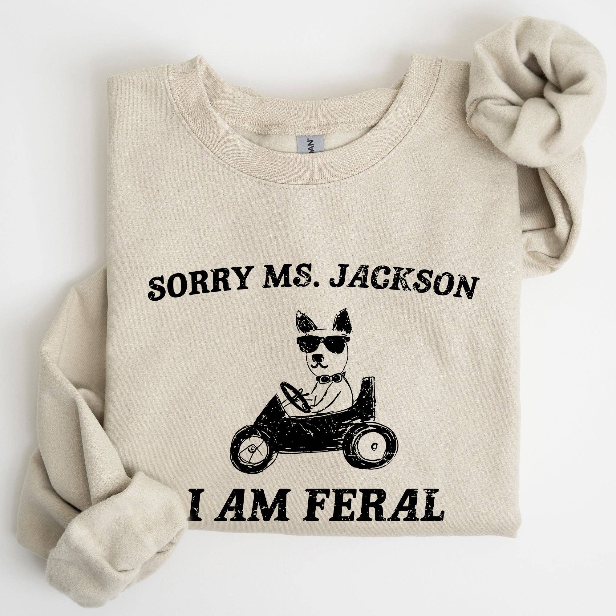 Sorry Ms, Raccoon, Meme, Aesthetic, Funny Sweatshirt
