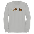 Detroit Tiger Stripe Text Men's Sweatshirt