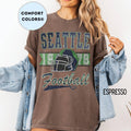 Seattle Football Vintage Style Comfort T-Shirt, Fan Gift