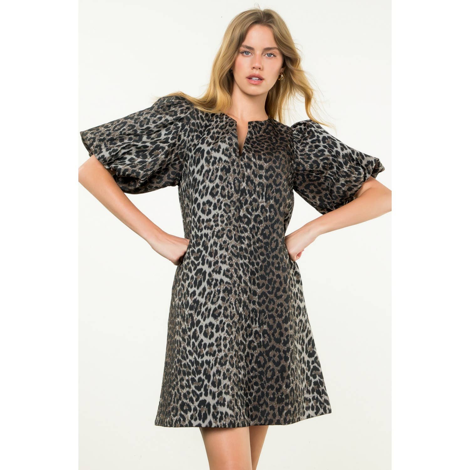 Puff Sleeve Cheetah Dress