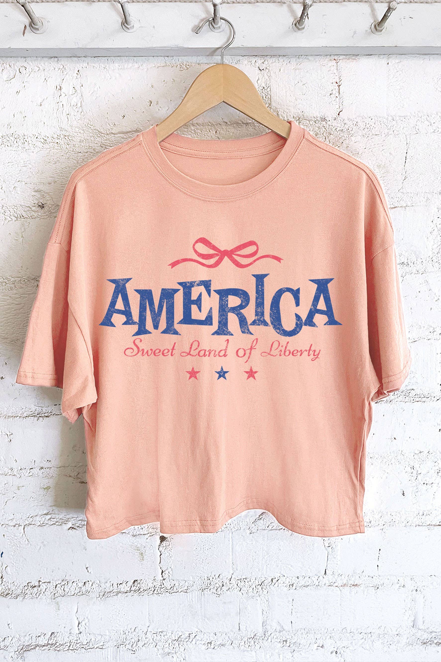 America Sweet Land of Liberty Bow Graphic Long Crop Top