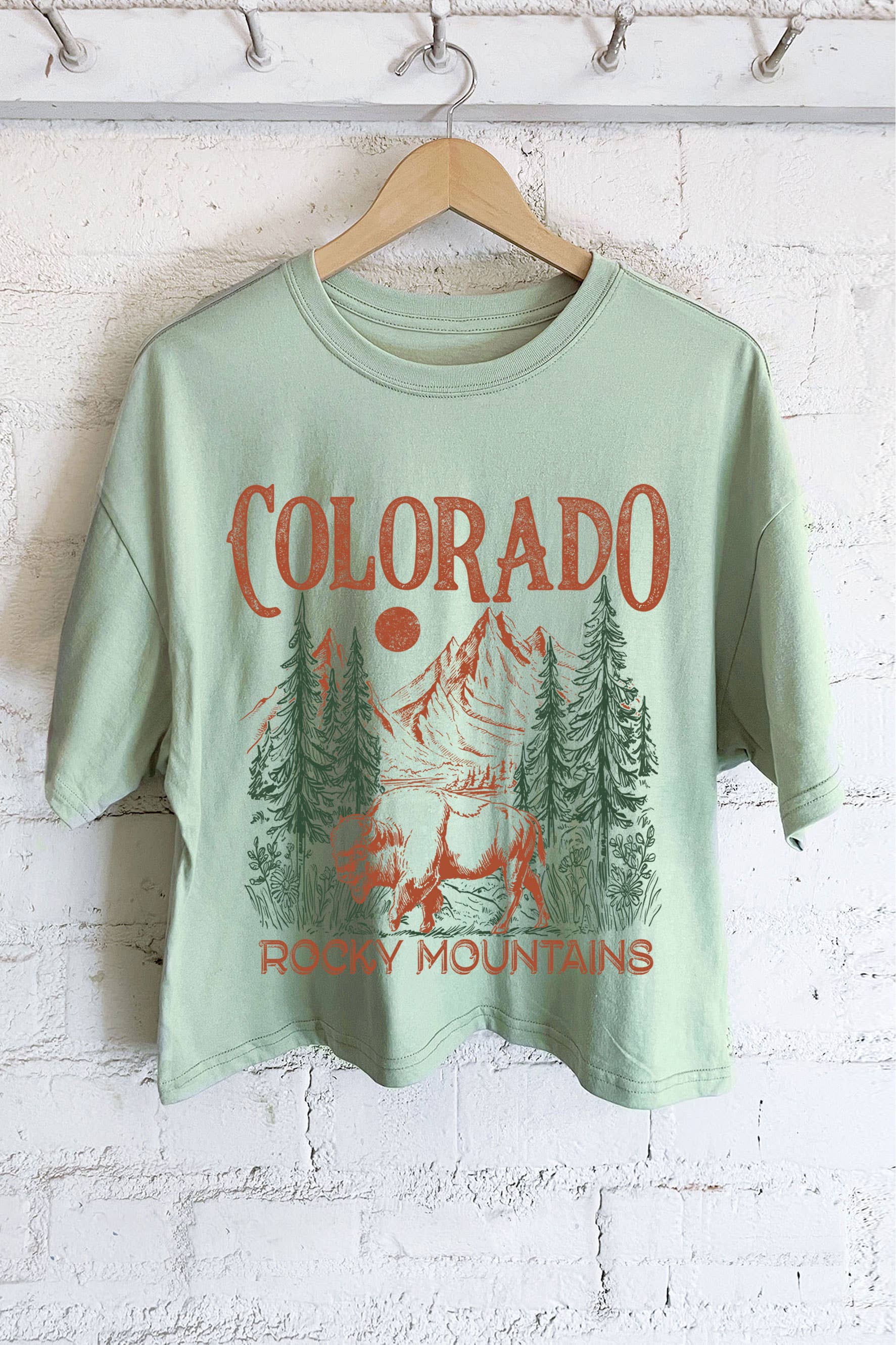 Colorado Rocky Mountains Graphic Long Crop Top