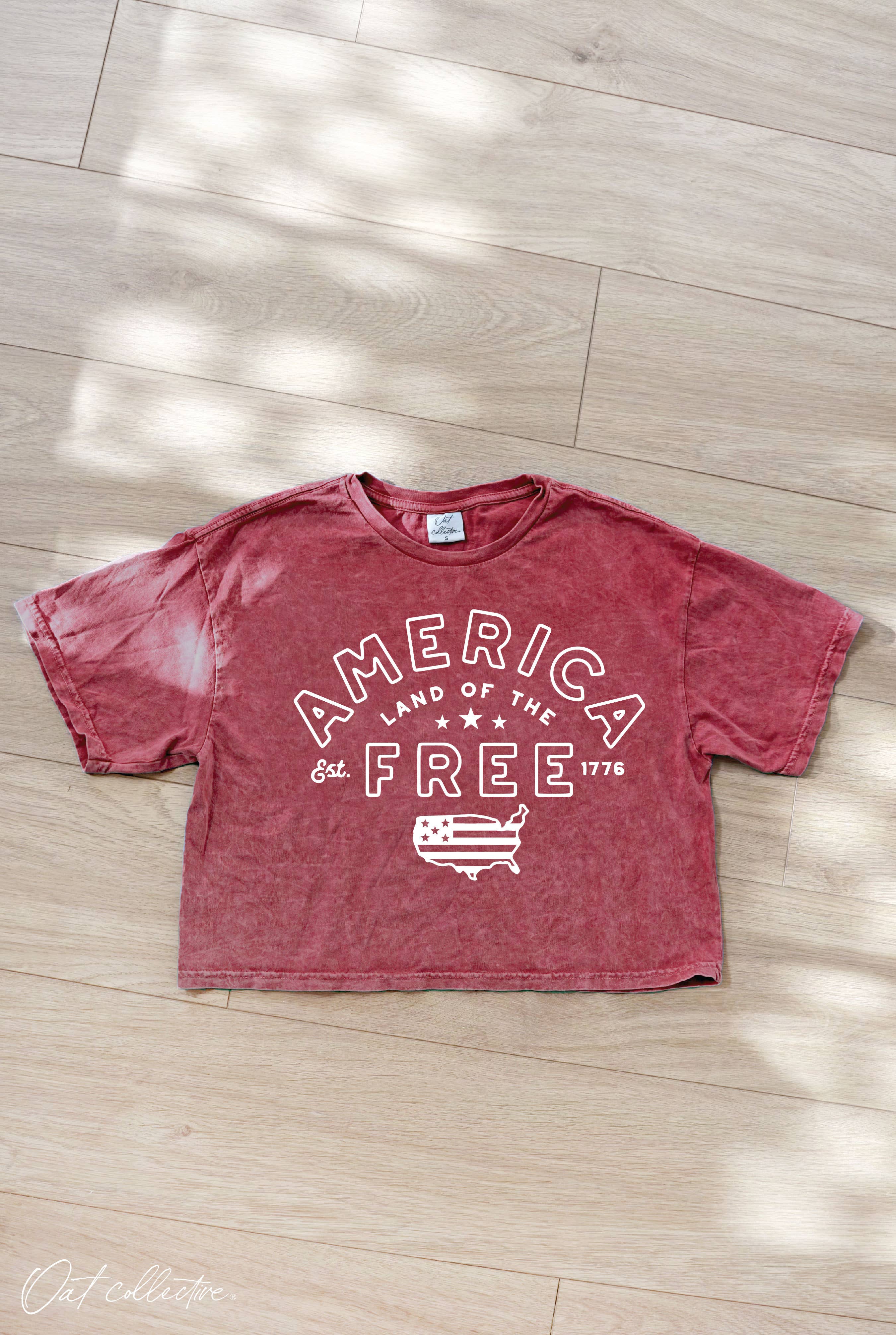 America Cropped Mineral Graphic Top