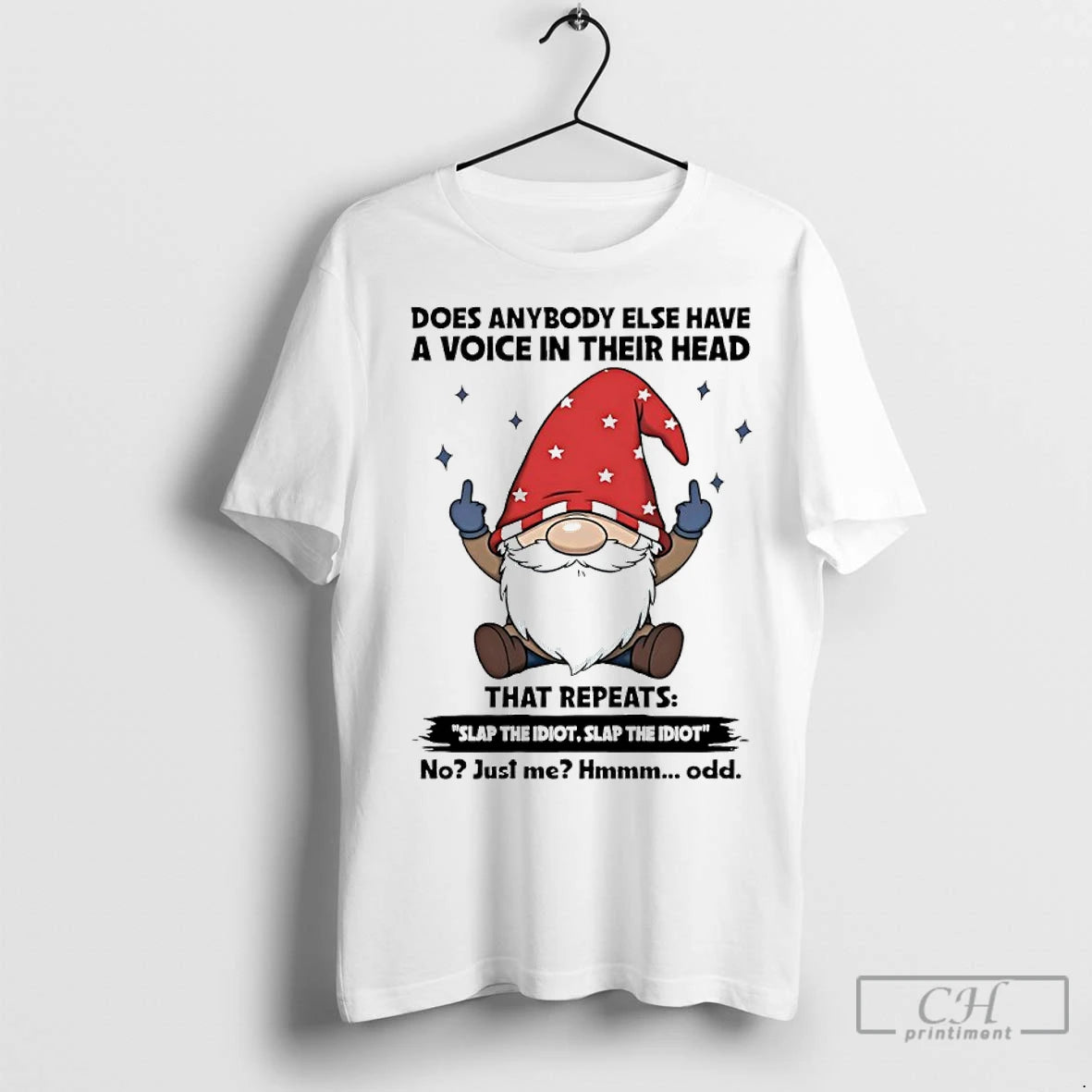 Classic Gnome Middle Finger Does Anybody Else Have A Voice In Their Head That Repeats
