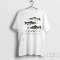Classic Trout And Flies Liberty Graphics In 1995