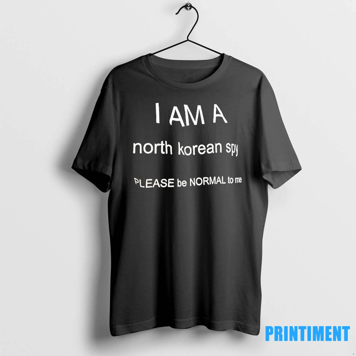 I Am A North Korean Sp Please Be Normal To Me Tshirts Sweater
