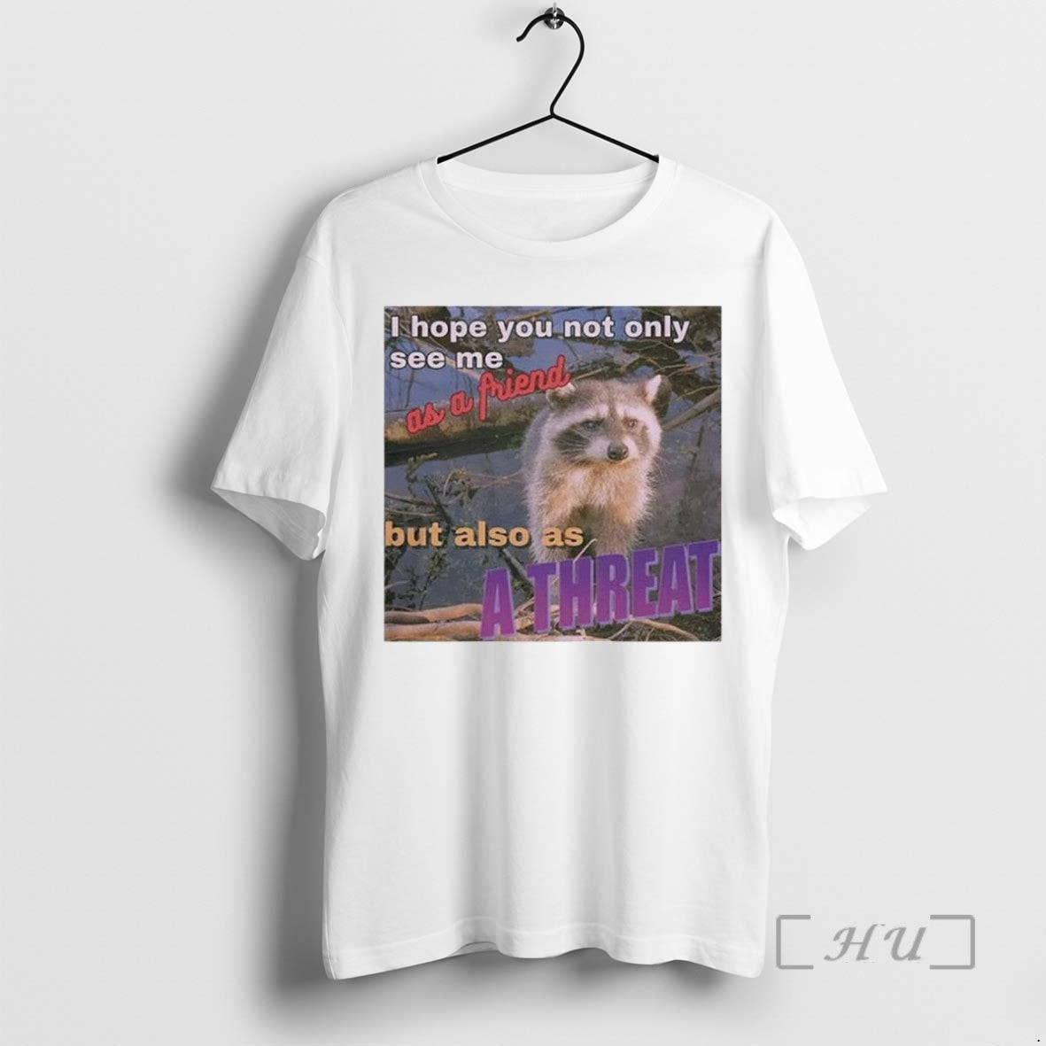 Limited Edition Raccoon I Hope You Not Only See Me As A Friend But Also