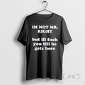 Officials Im Not Mr Right But Ill Fuck You Shirts Sweater