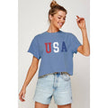 USA Fourth July Vintage Graphic Crop Top