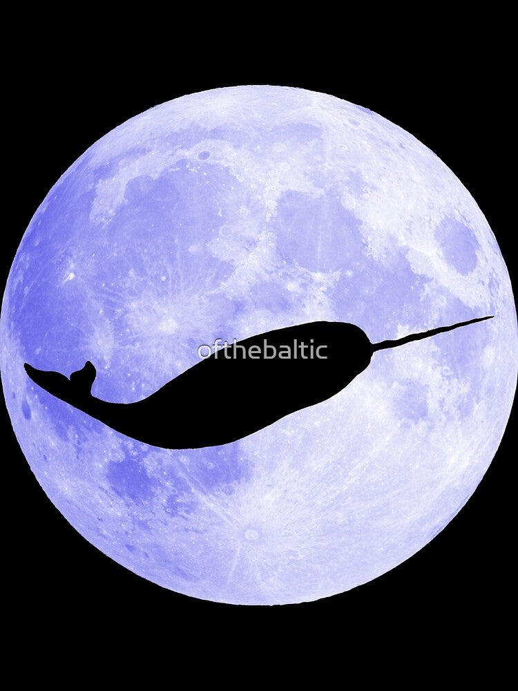 Narwhal!!!!! by ofthebaltic