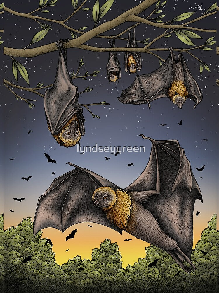 Rodrigues Fruit Bats by lyndseygreen