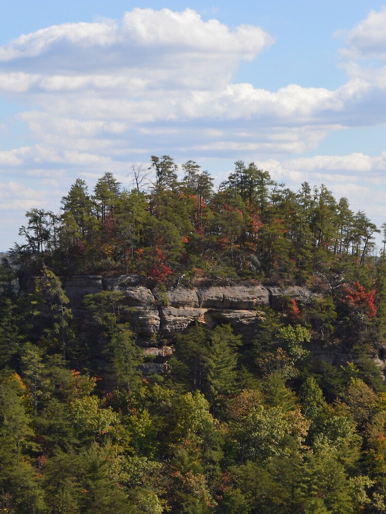 Red River Gorge View by Clint Ackerman