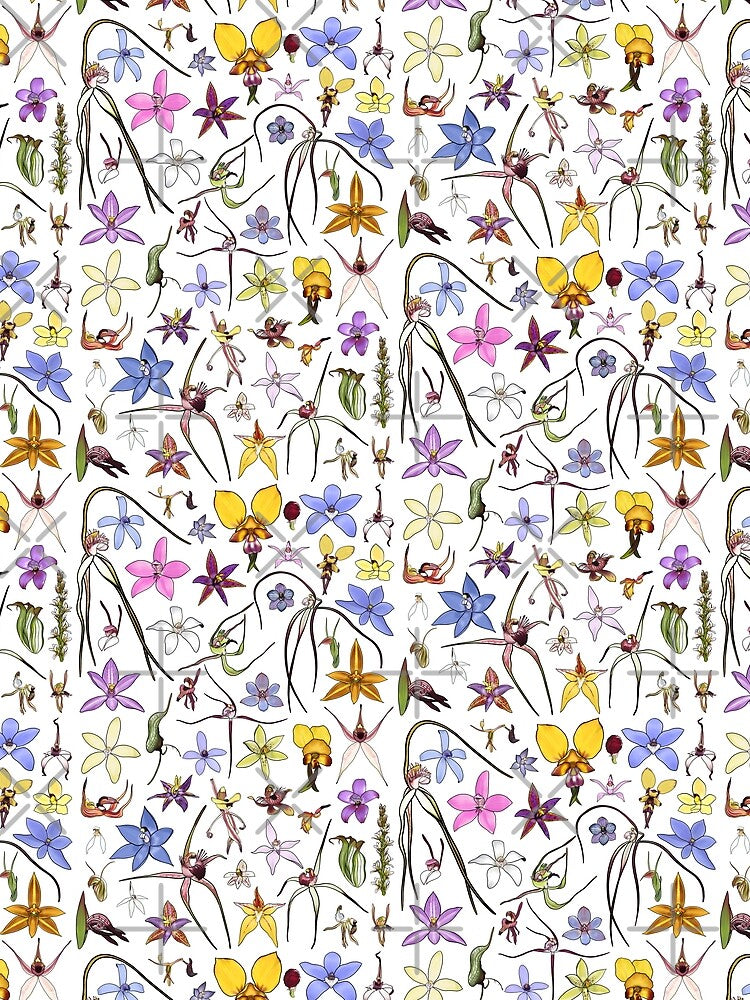 Australian Orchids by JoWillmot
