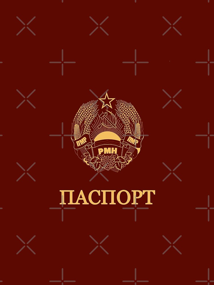 Transnistria passport by Travellerz