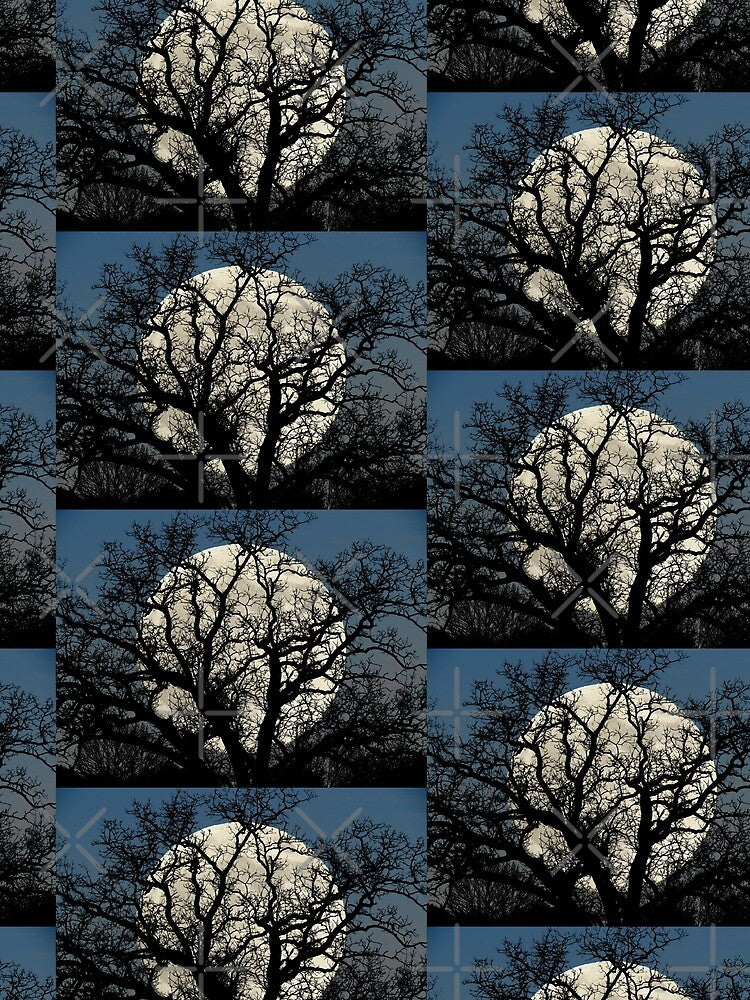 Tree Full Moon Midnight Blue Sky Cottage Decor Art A474 by byNicol