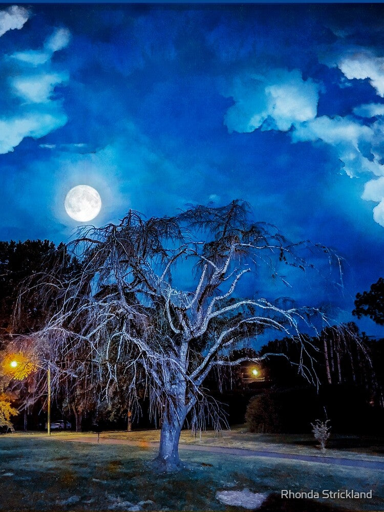 Full Moon in Sweetwater, TN by Rhonda Strickland