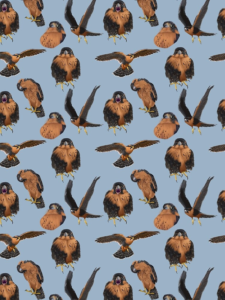 Aplomado Falcon All-over Print by Kindahawkward