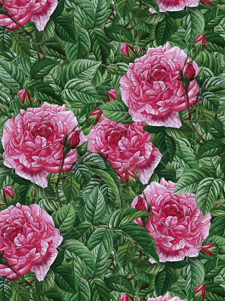 In a World Full of Roses by Dragan Kitic