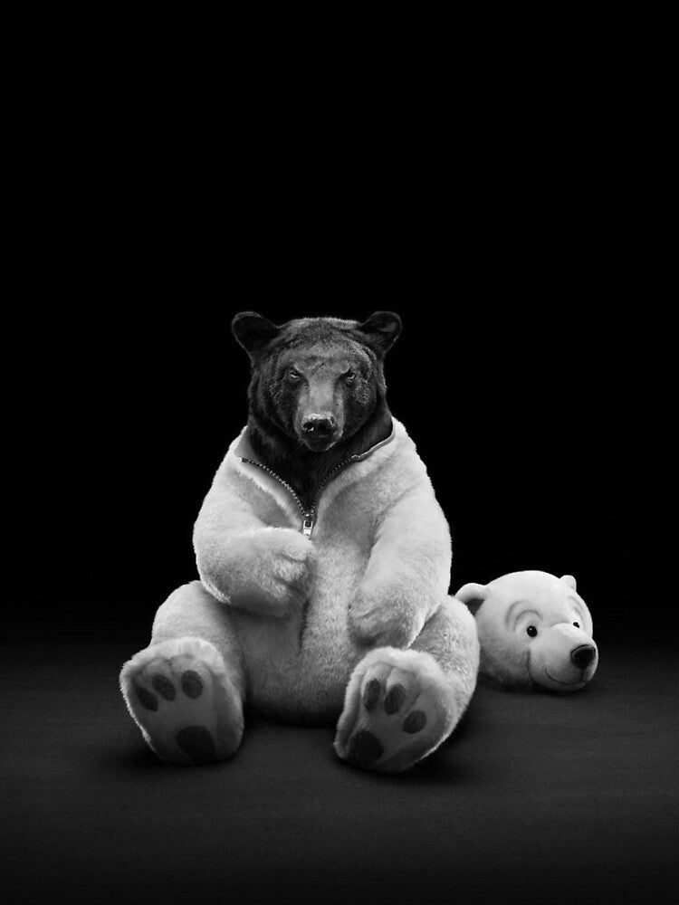 3D Pictures - Black bear with white coat by Sunny7869