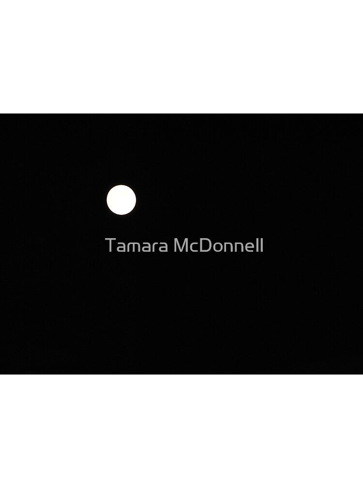 The Moon by Tamara McDonnell