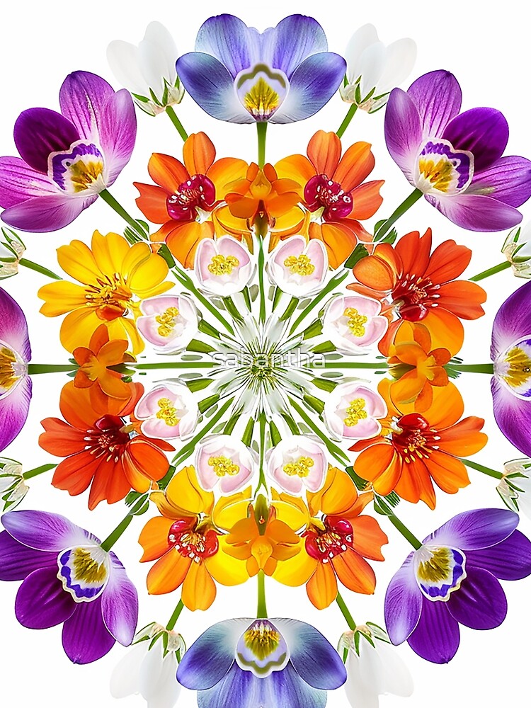 Krejmina - Mandala of flowers (22/24) by sabantha
