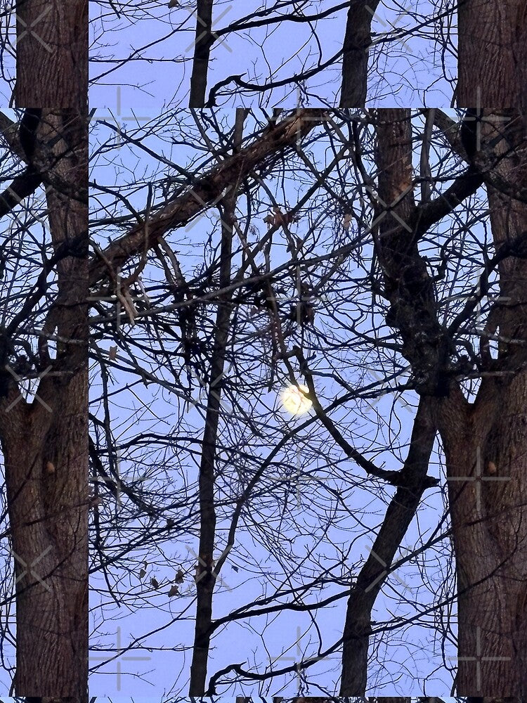Peeking moon by Fellowship23