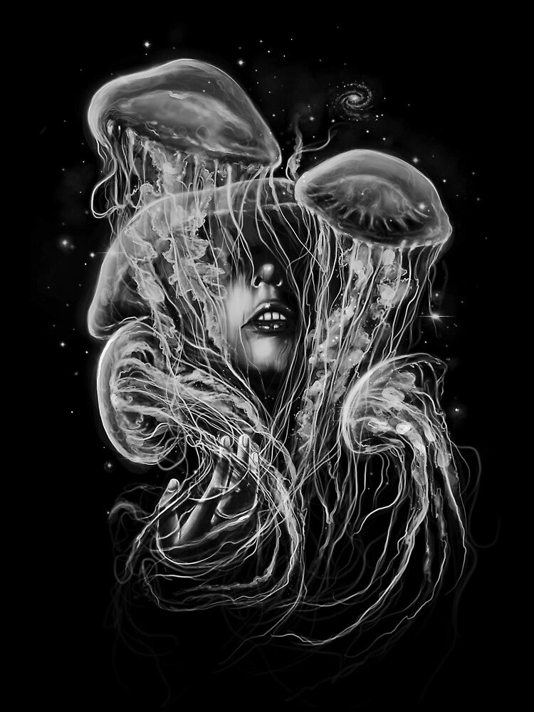 A Beautiful Delusion by nicebleed