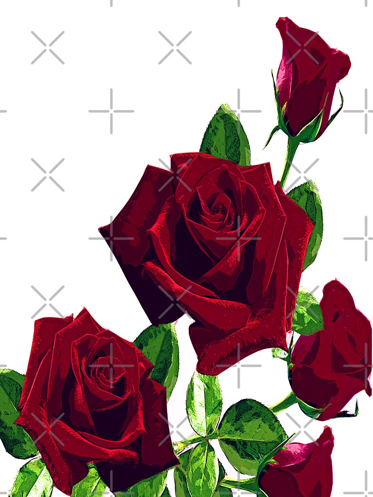 Burgundy roses Abstract color by artdragongift 15