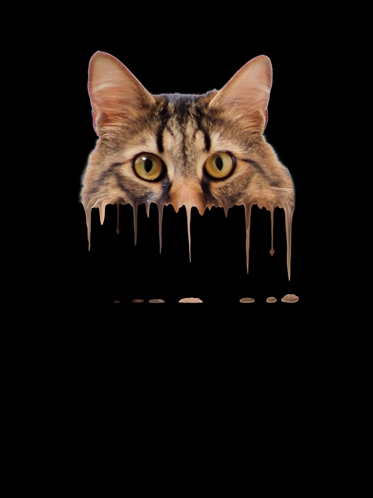 Melting Cat by Catspeople