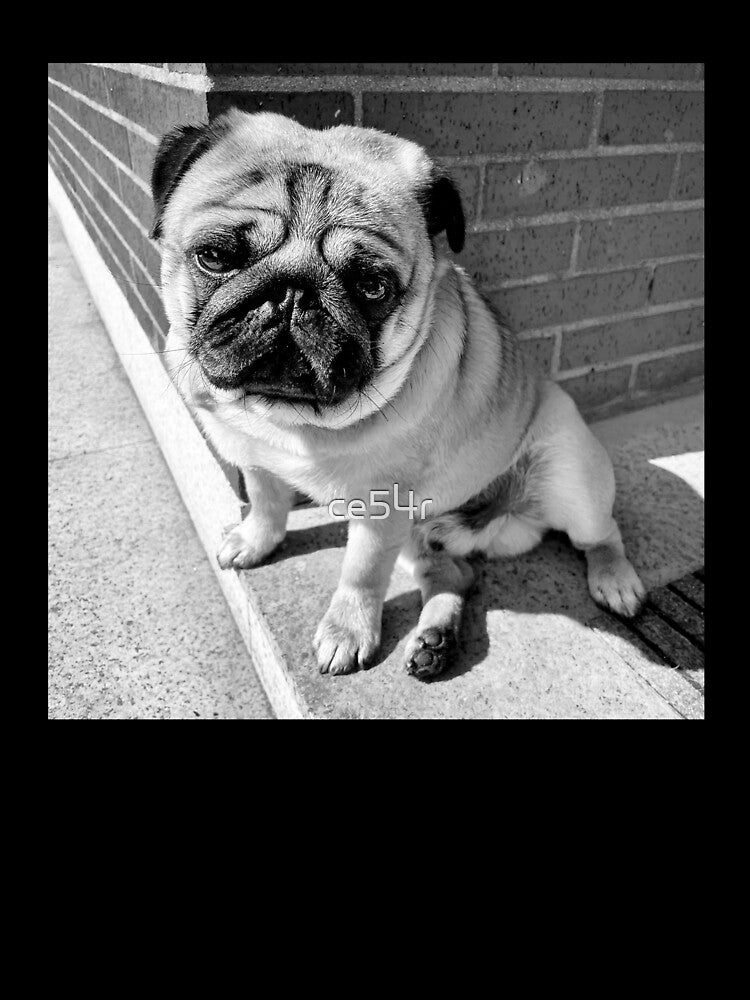 Pug Sunbathing | Dog Lover | Pug Lover | Animal Lover by ce54r