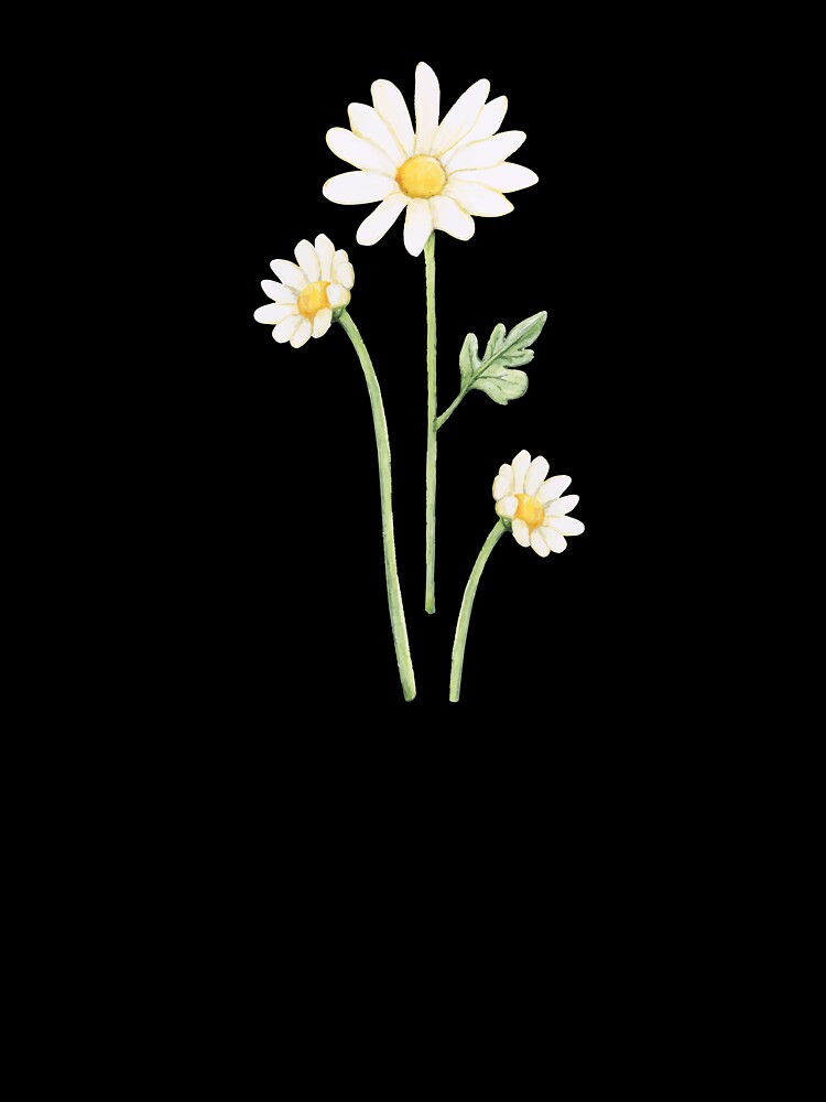 cosmos flower by zaher97