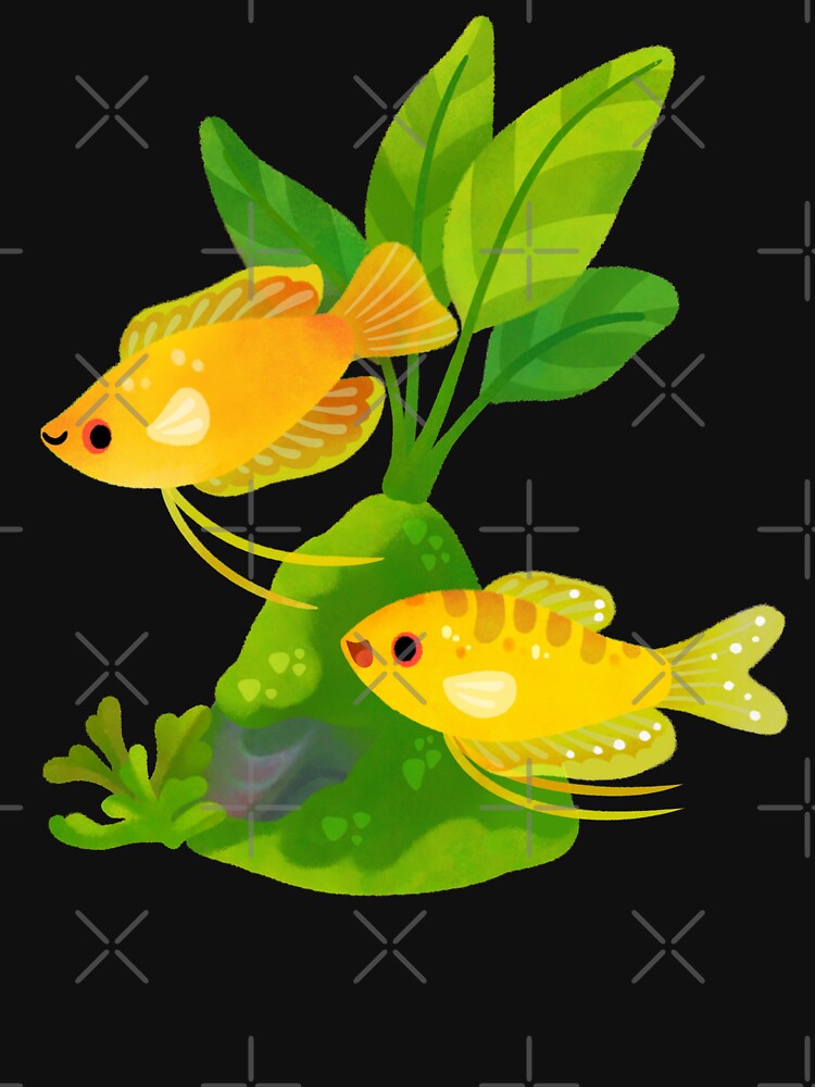 Fresh water fish and plants - Gourami by pikaole