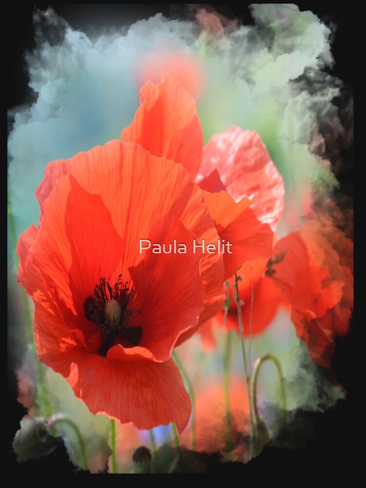 Colorful Poppy Floral Graphic by Paula Helit