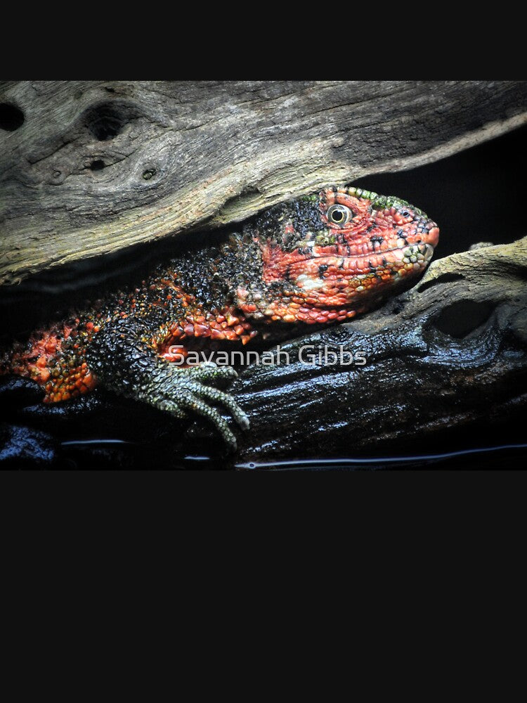 Chinese Crocodile Lizard by Savannah Gibbs