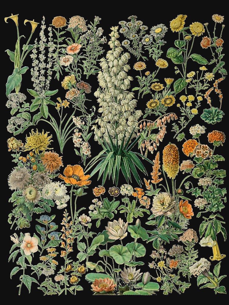Vintage Inspired Flower Botanical Chart by AntioneCrews