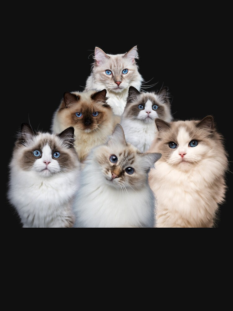 Pyramid Of Ragdoll Kittens, Cat Dad/Mom, Funny by DizzyTees98