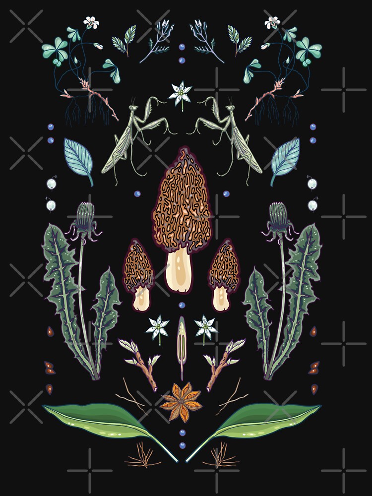 Spring morchella by smalldrawing