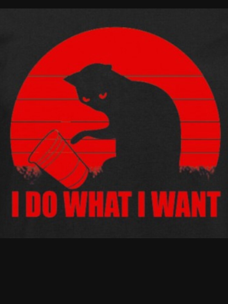 I Do What I Want Printed T-Shirt by storeInsight