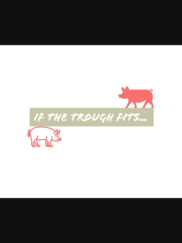 If the trough fits; design 2 by Brendan  Mullen