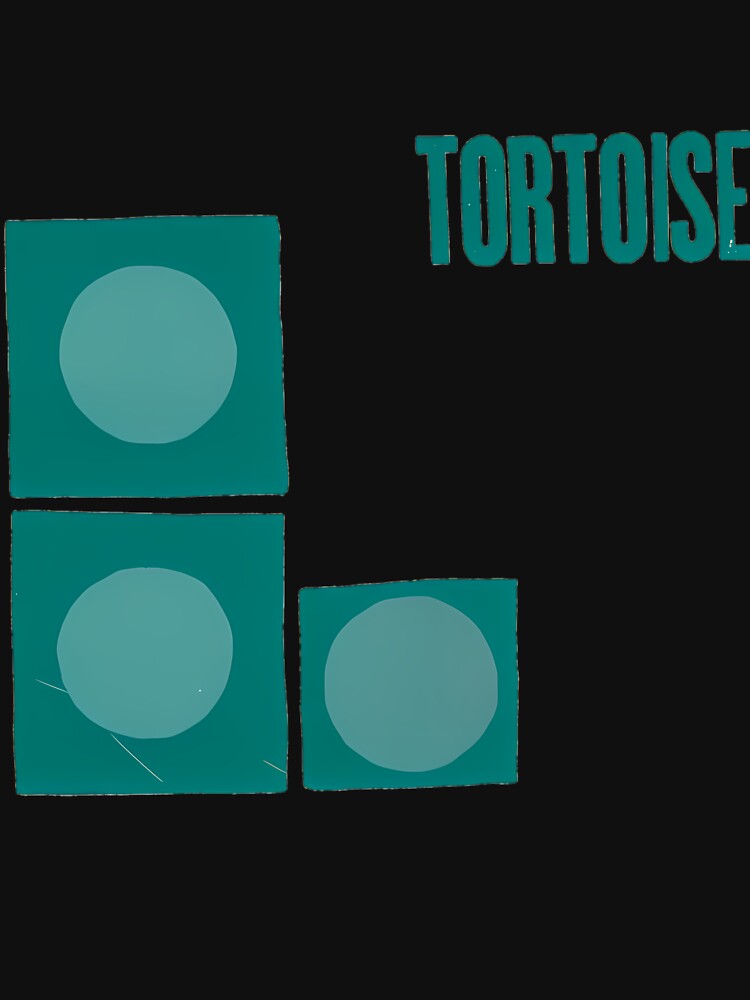 Tortoise by MeaghanOrn