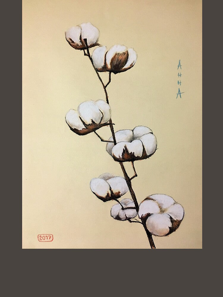 Cotton, cotton blooming, cotton flower by Ranisha