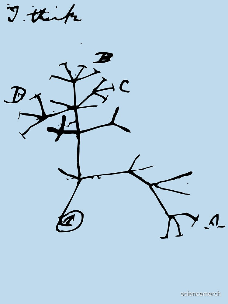 Darwin I Think Tree (Black) by sciencemerch