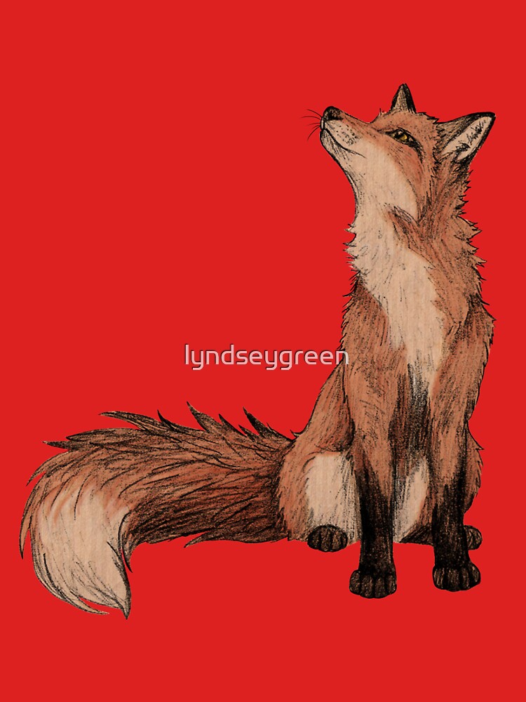 Red Fox by lyndseygreen