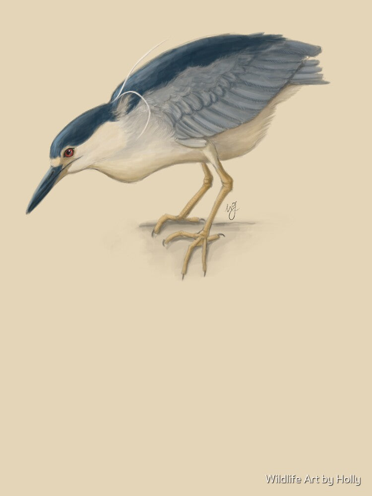 Black-crowned Night Heron by Wildlife Art by Holly