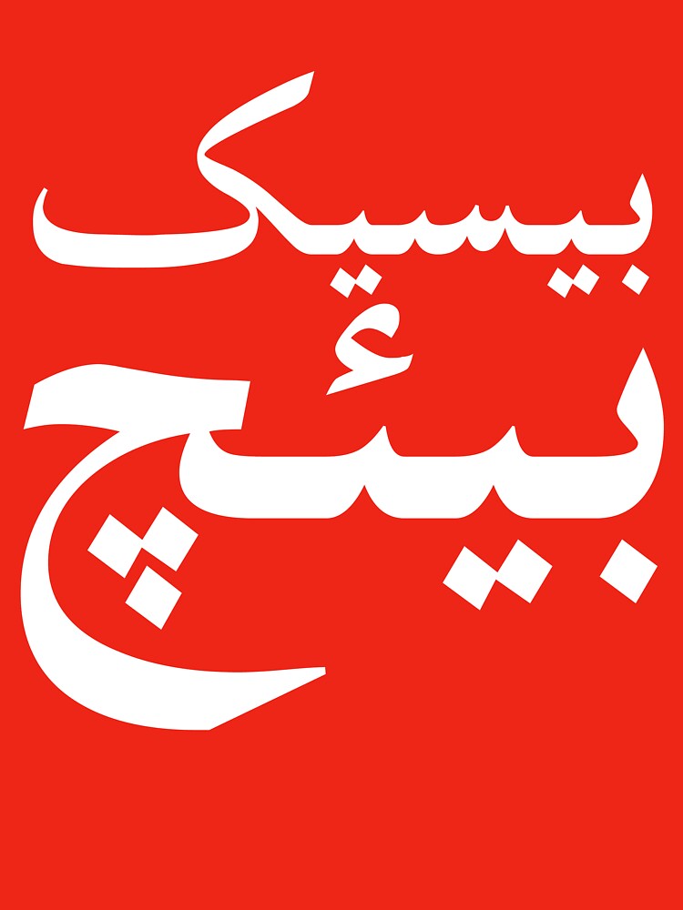 Basic Bitch In Urdu by kamrankhan