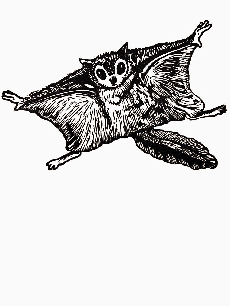 Flying Squirrel linocut by Una Scott