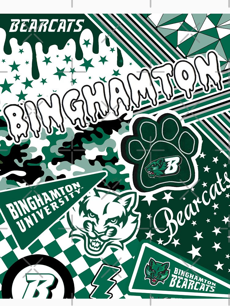 Binghamton University by Leila Sayan