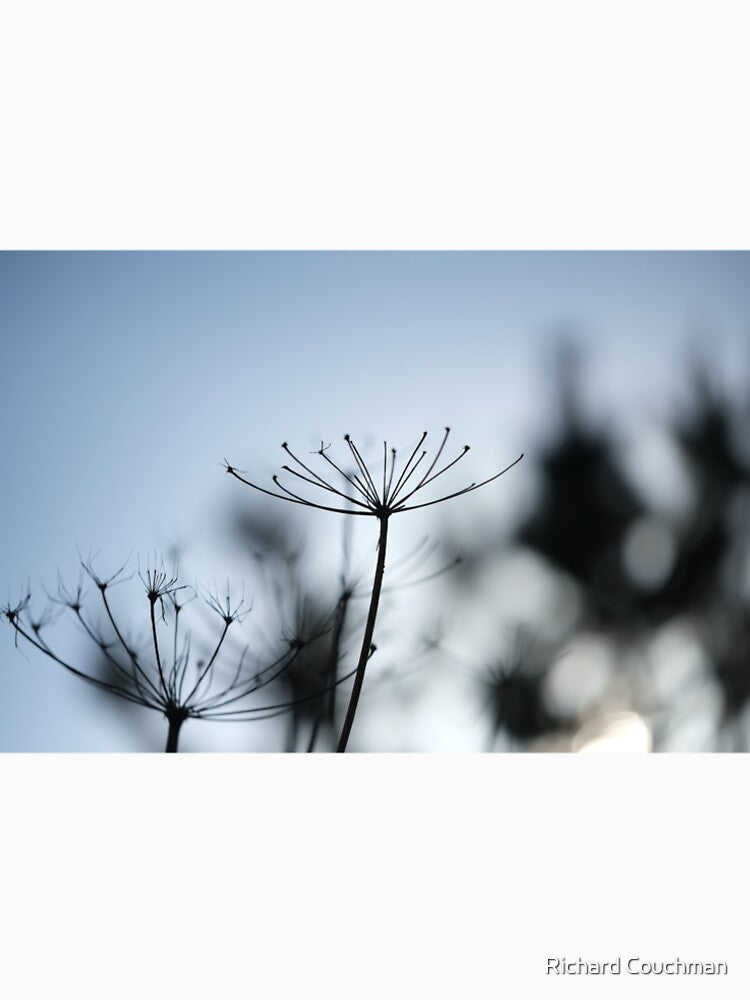 " Seeds Of Light " by Richard Couchman