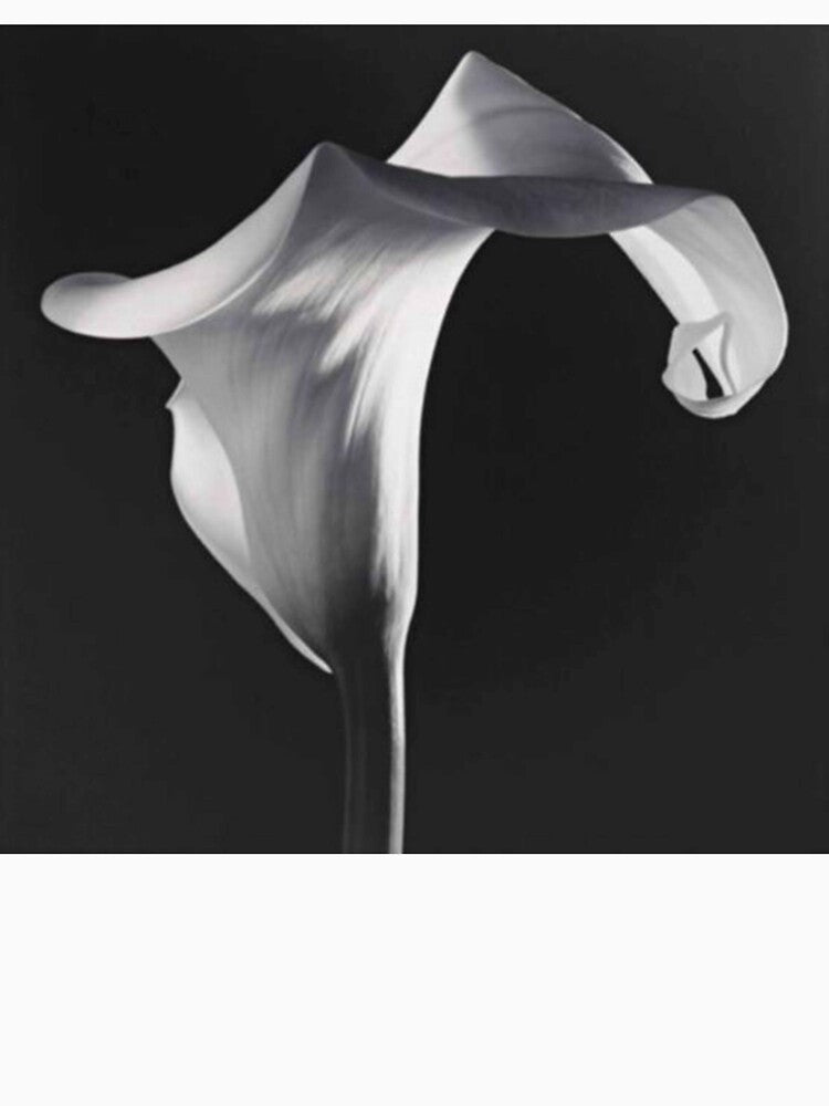 Robert Mapplethorpe, 'Calla Lily' by haldeyrhonda